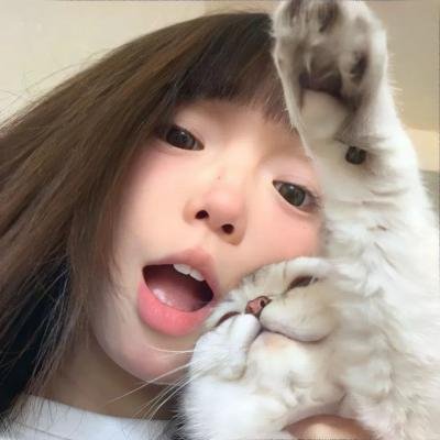 恋爱北极熊