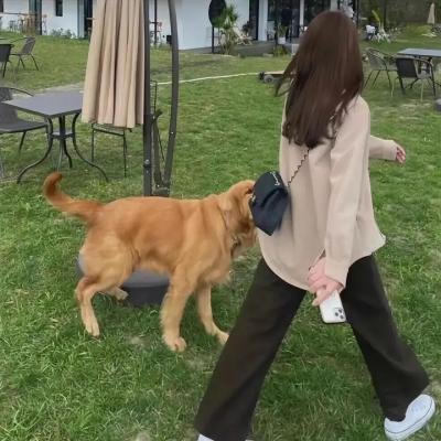 暗金烂狗